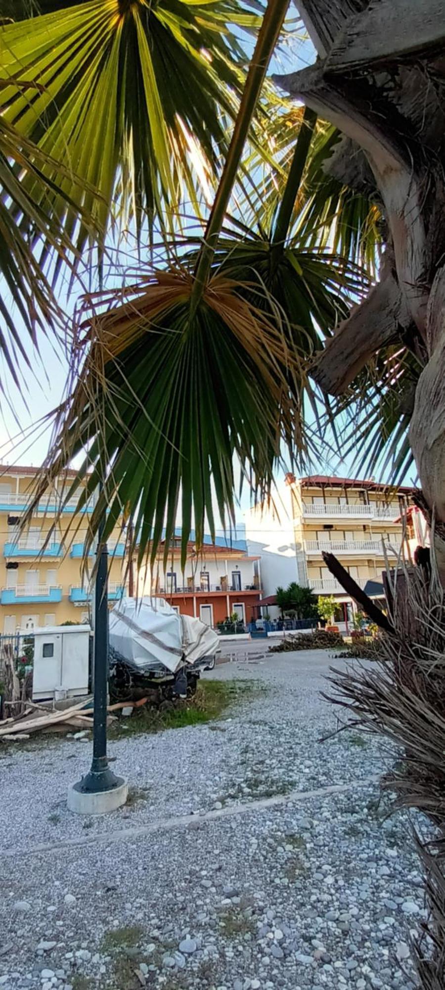 Mana Mia Seaside Apartments Leptokarya  Exterior photo